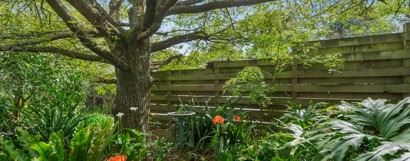 croydon short stay accommodation